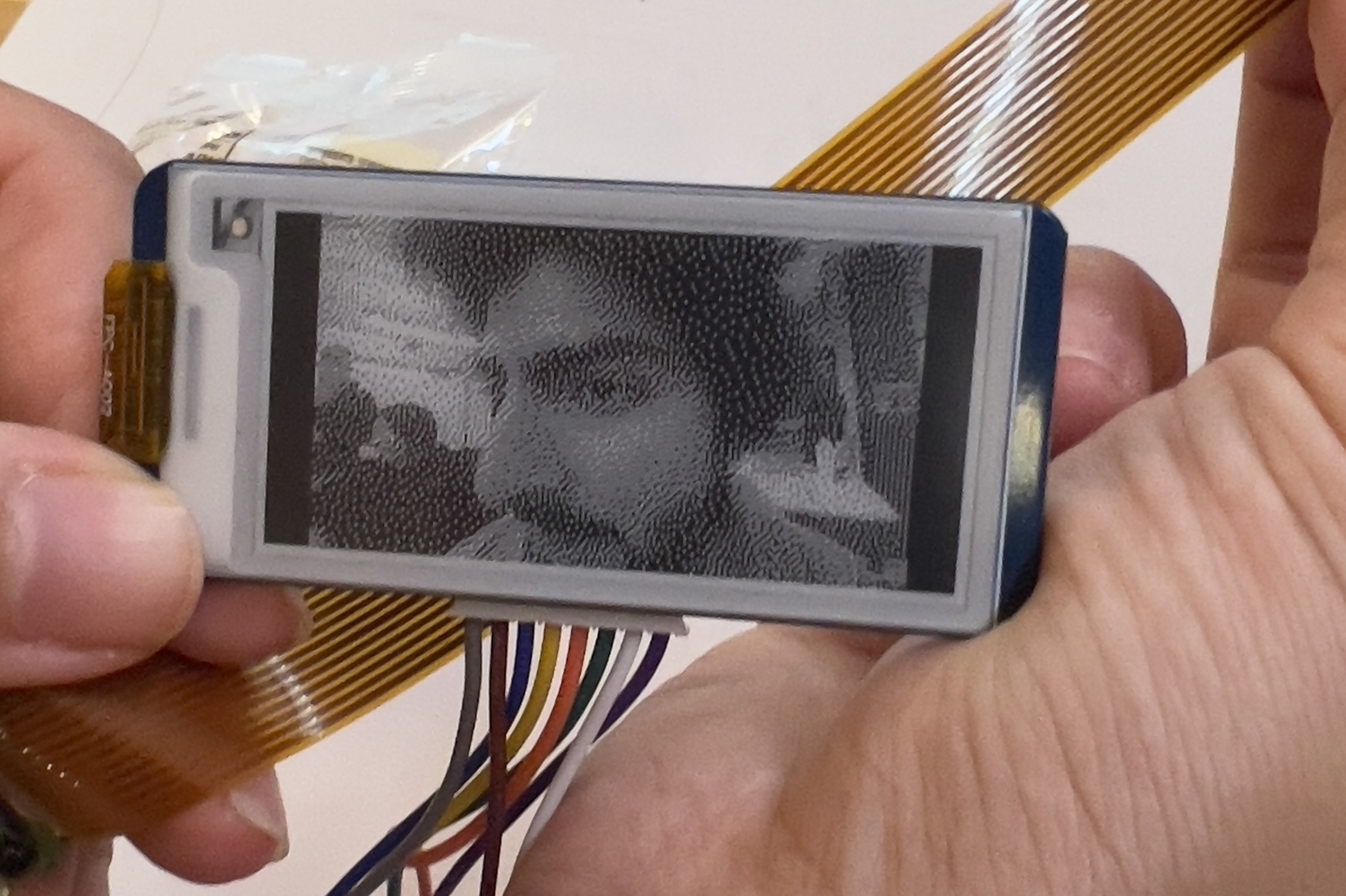 eink camera